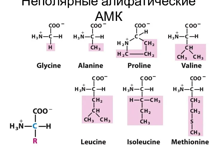 Неполярные алифатические АМК