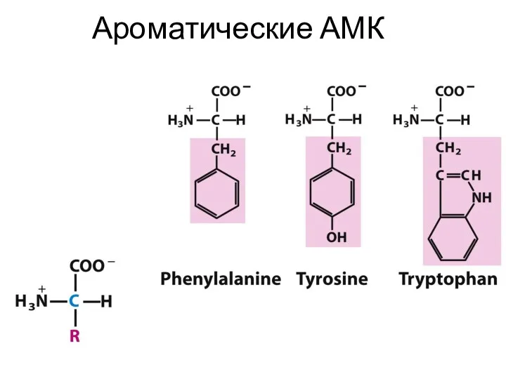 Ароматические АМК