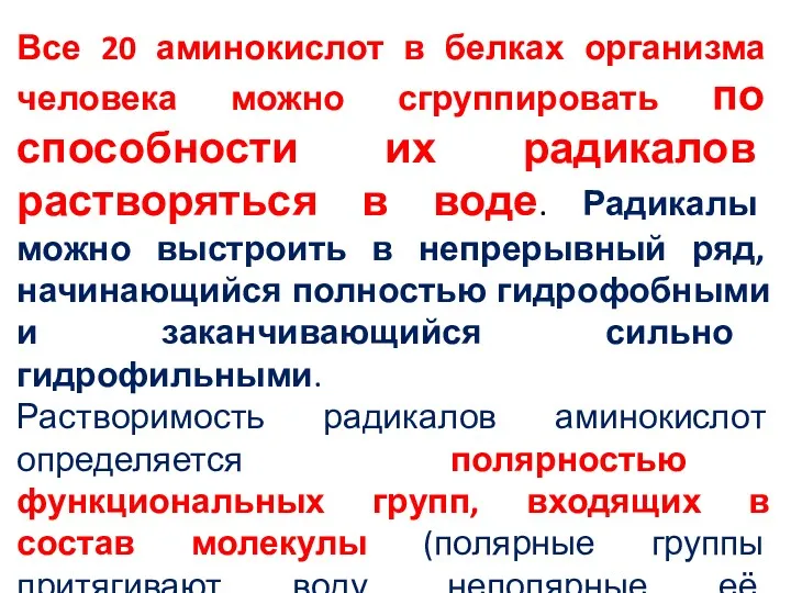 Все 20 аминокислот в белках организма человека можно сгруппировать по