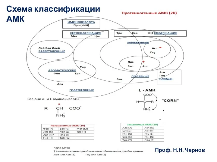 Схема классификации АМК Проф. Н.Н. Чернов