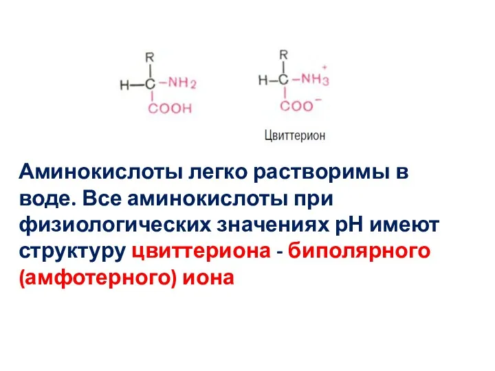 Аминокислоты легко растворимы в воде. Все аминокислоты при физиологических значениях