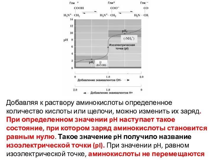 Добавляя к раствору аминокислоты определенное количество кислоты или щелочи, можно