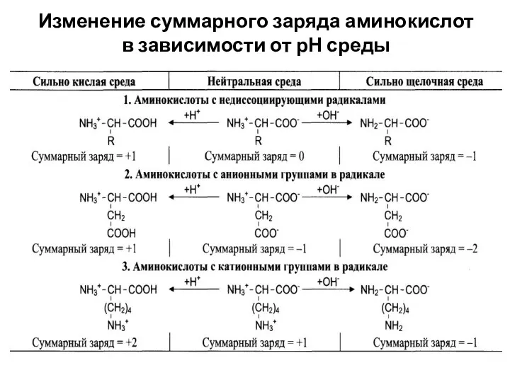 Изменение суммарного заряда аминокислот в зависимости от рН среды