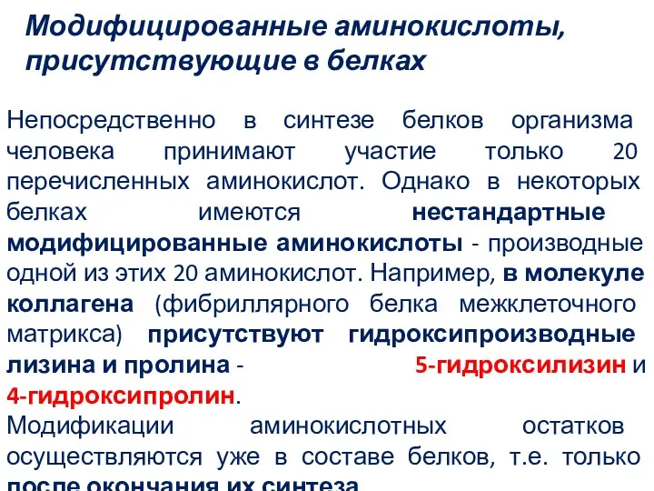 Модифицированные аминокислоты, присутствующие в белках Непосредственно в синтезе белков организма