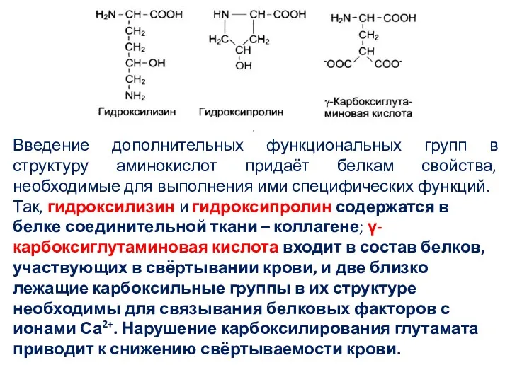 Введение дополнительных функциональных групп в структуру аминокислот придаёт белкам свойства,