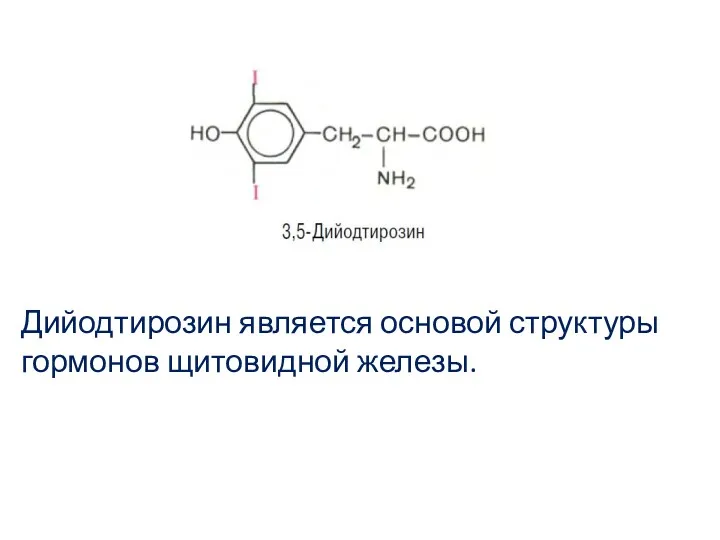 Дийодтирозин является основой структуры гормонов щитовидной железы.