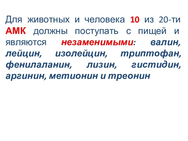 Для животных и человека 10 из 20-ти АМК должны поступать