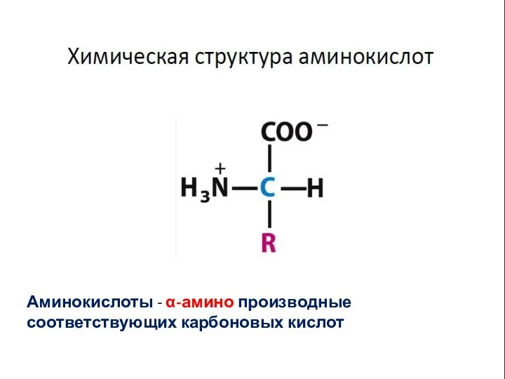 Аминокислоты - α-амино производные соответствующих карбоновых кислот
