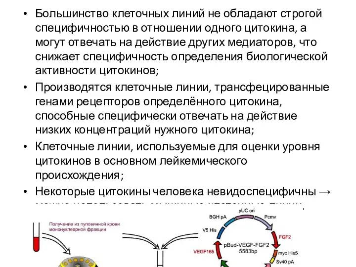 Большинство клеточных линий не обладают строгой специфичностью в отношении одного