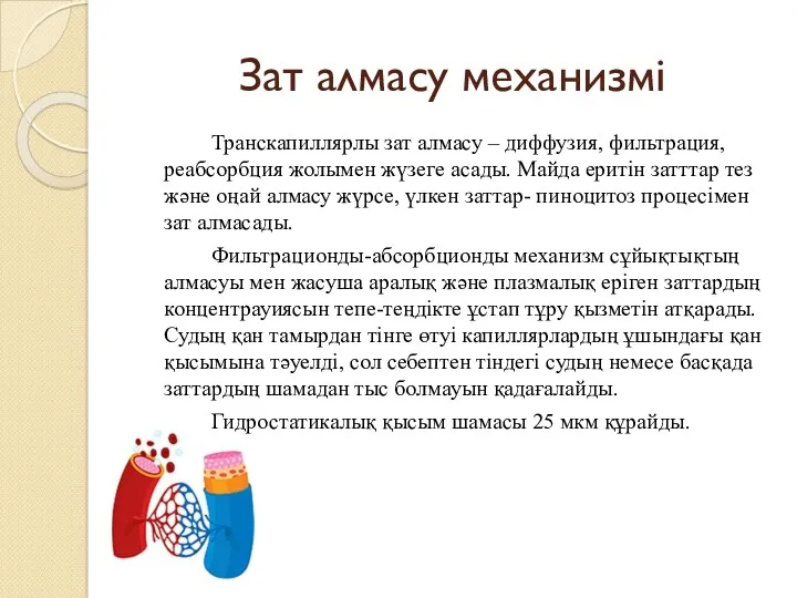 Зат алмасу механизмі Транскапиллярлы зат алмасу – диффузия, фильтрация, реабсорбция