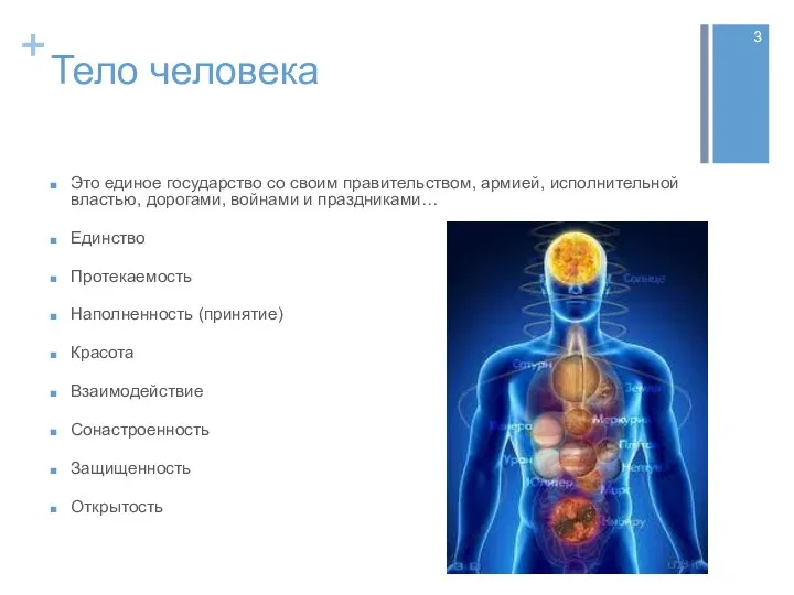 Тело человека Это единое государство со своим правительством, армией, исполнительной