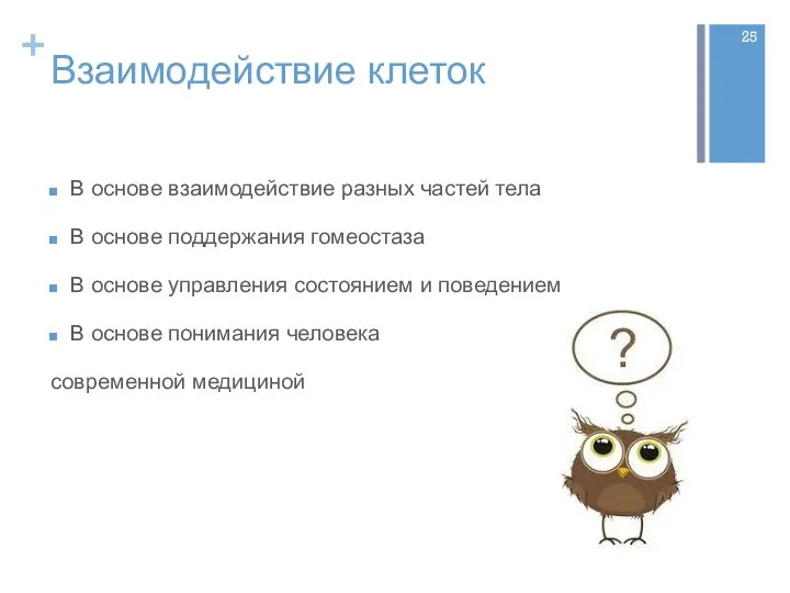 Взаимодействие клеток В основе взаимодействие разных частей тела В основе