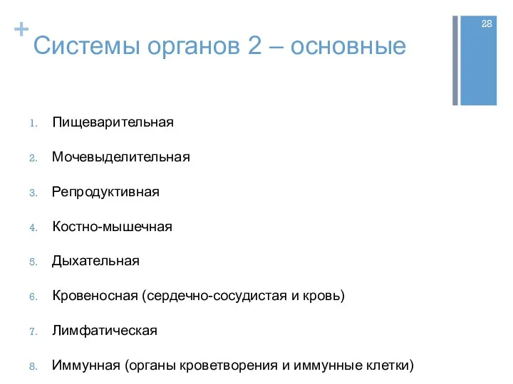 Системы органов 2 – основные Пищеварительная Мочевыделительная Репродуктивная Костно-мышечная Дыхательная