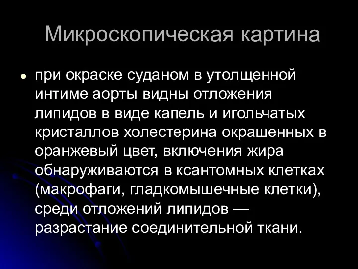 Микроскопическая картина при окраске суданом в утолщенной интиме аорты видны