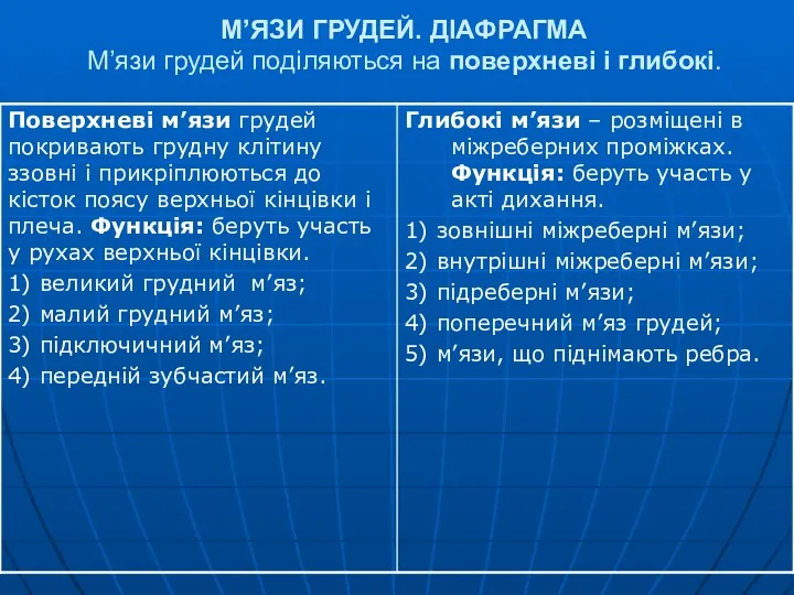 М’ЯЗИ ГРУДЕЙ. ДІАФРАГМА М’язи грудей поділяються на поверхневі і глибокі.