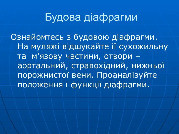 Будова діафрагми Ознайомтесь з будовою діафрагми. На муляжі відшукайте ії