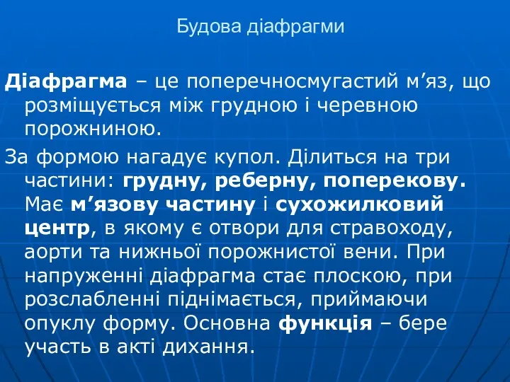 Будова діафрагми Діафрагма – це поперечносмугастий м’яз, що розміщується між