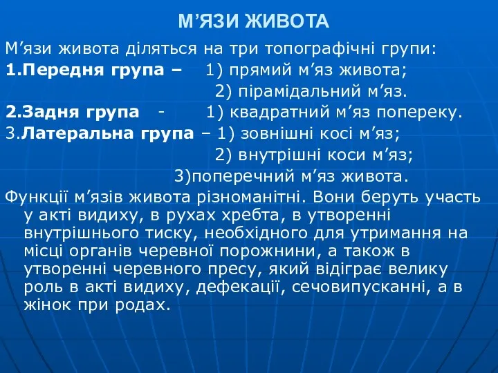 М’ЯЗИ ЖИВОТА М’язи живота діляться на три топографічні групи: 1.Передня