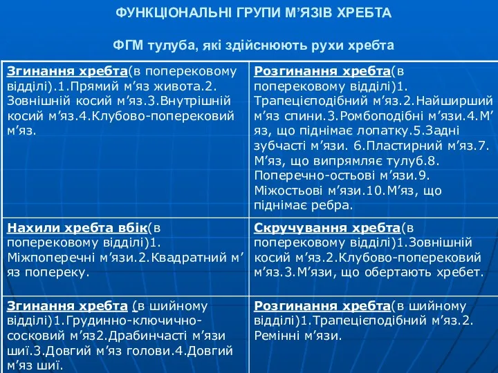 ФУНКЦІОНАЛЬНІ ГРУПИ М’ЯЗІВ ХРЕБТА ФГМ тулуба, які здійснюють рухи хребта