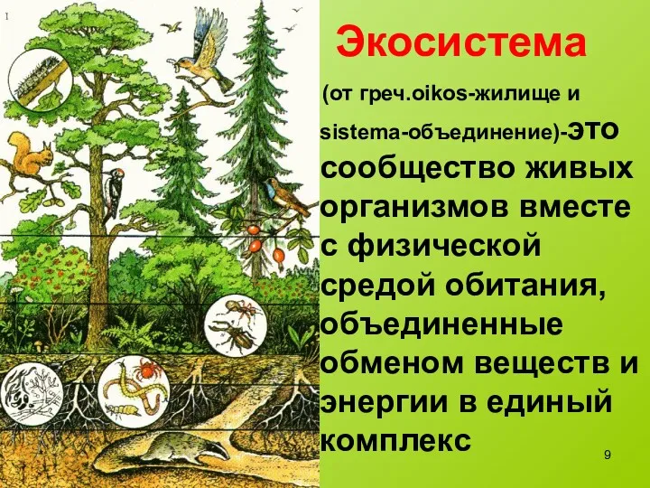 Экосистема (от греч.oikos-жилище и sistema-объединение)-это сообщество живых организмов вместе с
