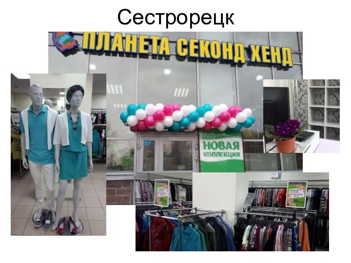 Сестрорецк