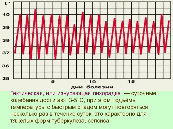 Гектическая, или изнуряющая лихорадка — суточные колебания достигают 3-5°С, при