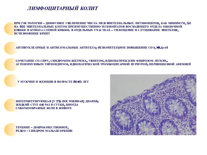 ЛИМФОЦИТАРНЫЙ КОЛИТ ПРИ ГИСТОЛОГИИ – ДИФФУЗНОЕ УВЕЛИЧЕНИЕ ЧИСЛА МЕЖЭПИТЕЛИАЛЬНЫХ ЛИТМФОЦИТОВ, КАК МИНИМУМ, 24