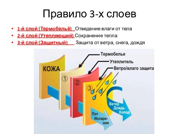 Правило 3-х слоев 1-й слой (Термобельё) Отведение влаги от тела