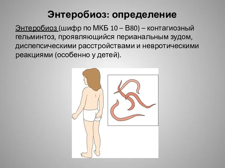 Энтеробиоз: определение Энтеробиоз (шифр по МКБ 10 – В80) –