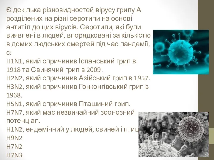 Є декілька різновидностей вірусу грипу А розділених на різні серотипи на основі антитіл