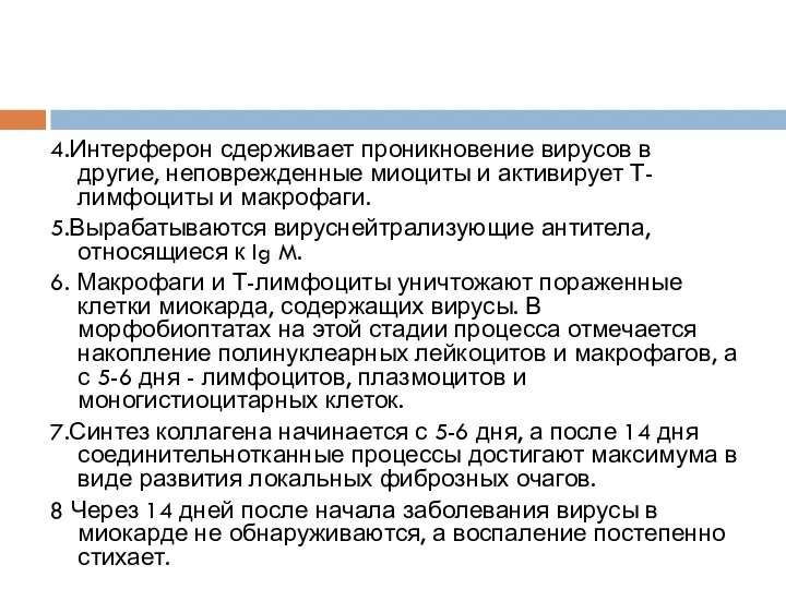 4.Интерферон сдерживает проникновение вирусов в другие, неповрежденные миоциты и активирует