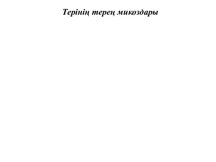 Терінің терең микоздары Актиномикоз(Actinomycosis). Табиғатта кеңінен таралған және ауыздың шырышты