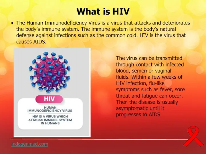 bestpowerpos.com indogenmed.com What is HIV The Human Immunodeficiency Virus is