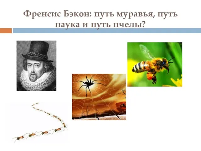 Френсис Бэкон: путь муравья, путь паука и путь пчелы?