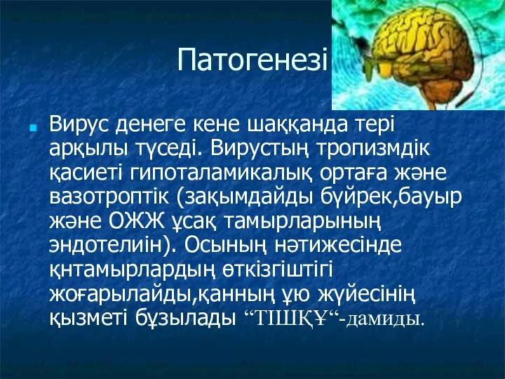 Патогенезі Вирус денеге кене шаққанда тері арқылы түседі. Вирустың тропизмдік