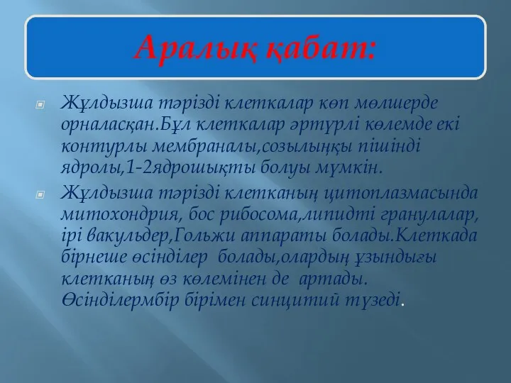 Жұлдызша тәрізді клеткалар көп мөлшерде орналасқан.Бұл клеткалар әртүрлі көлемде екі