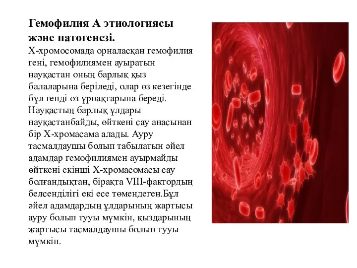 Гемофилия А этиологиясы және патогенезі. Х-хромосомада орналасқан гемофилия гені, гемофилиямен ауыратын науқастан оның