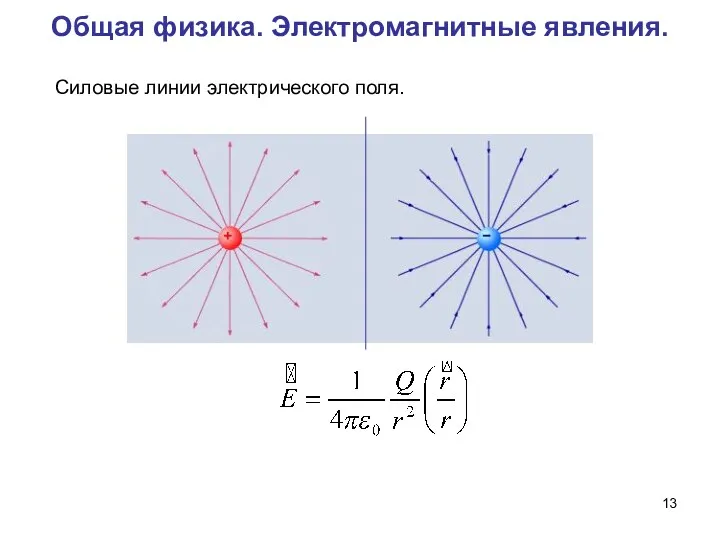 Общая физика. Электромагнитные явления. Силовые линии электрического поля.