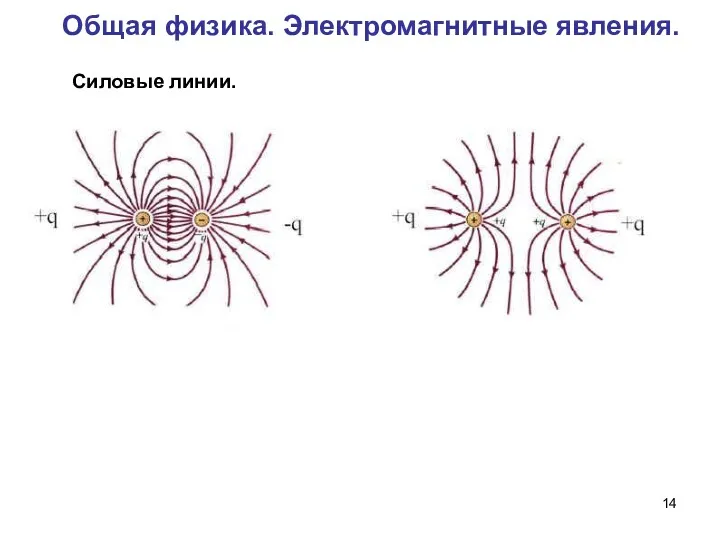 Общая физика. Электромагнитные явления. Силовые линии.