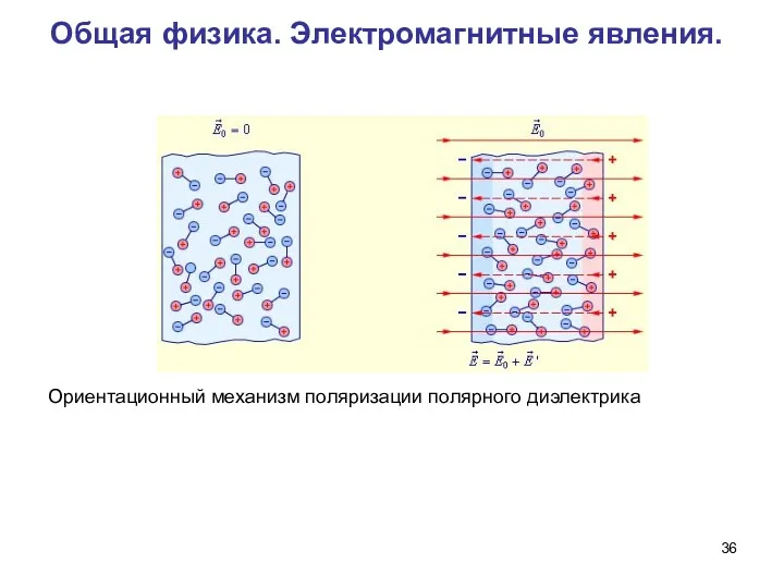 Общая физика. Электромагнитные явления. Ориентационный механизм поляризации полярного диэлектрика