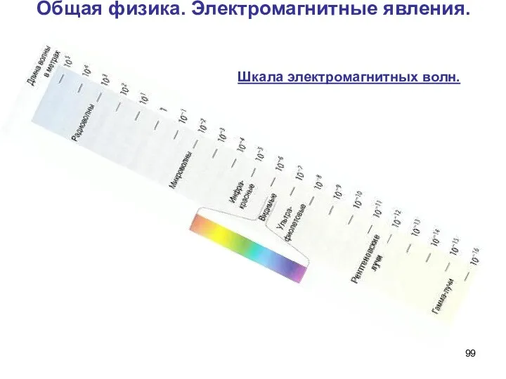 Общая физика. Электромагнитные явления. Шкала электромагнитных волн.