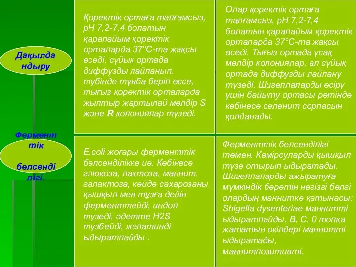 Дақылдандыру Ферменттік белсенділігі. Қоректік ортаға талғамсыз, рН 7,2-7,4 болатын қарапайым