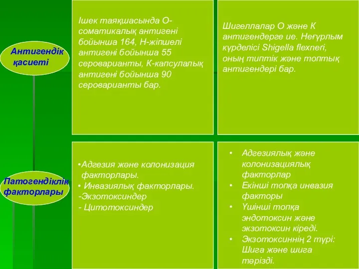 Антигендік қасиеті Iшек таяқшасында О-соматикалық антигені бойынша 164, Н-жіпшелі антигені