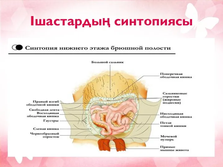 Ішастардың синтопиясы