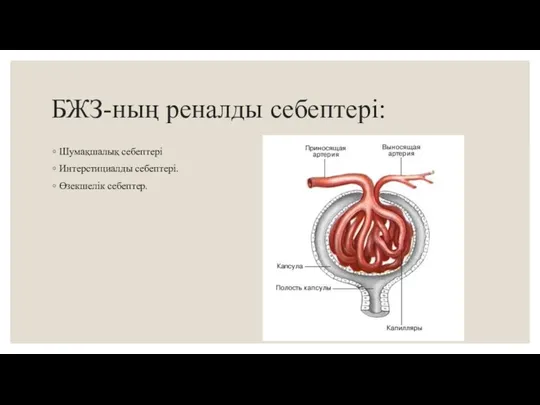 БЖЗ-ның реналды себептері: Шумақшалық себептері Интерстициалды себептері. Өзекшелік себептер.