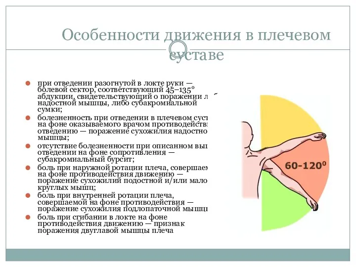 Особенности движения в плечевом суставе при отведении разогнутой в локте