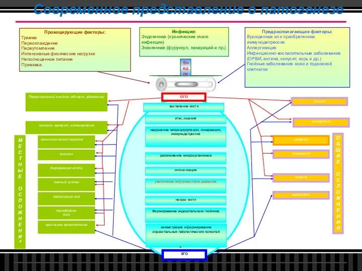 Современное представление о патогенезе