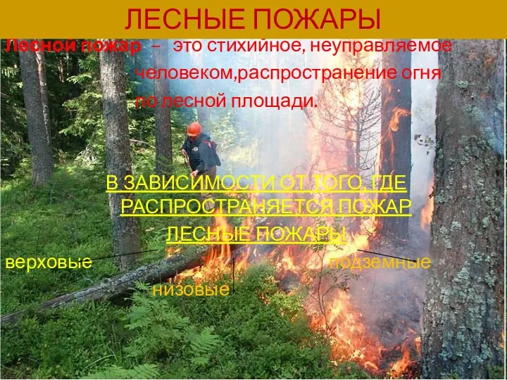 Лесной пожар – это стихийное, неуправляемое человеком,распространение огня по лесной