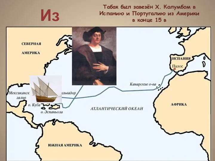 Из истории: Табак был завезён Х. Колумбом в Испанию и Португалию из Америки