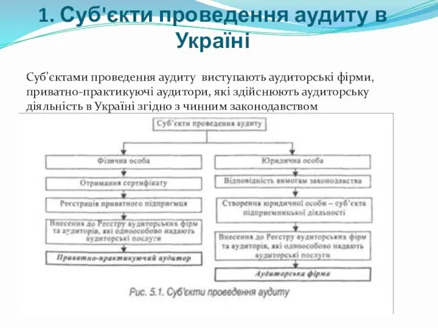 1. Суб'єкти проведення аудиту в Україні Суб'єктами проведення аудиту виступають